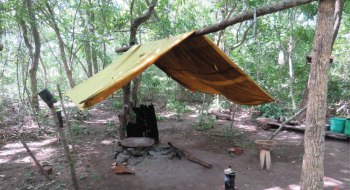 MPT recebe mais de 6 mil denúncias de escravidão e tráfico de pessoas